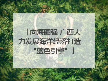 向海图强 广西大力发展海洋经济打造“蓝色引擎”