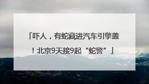 吓人，有蛇藏进汽车引擎盖！北京9天接9起“蛇警”