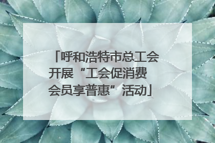 呼和浩特市总工会开展“工会促消费 会员享普惠”活动