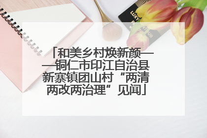 和美乡村焕新颜——铜仁市印江自治县新寨镇团山村“两清两改两治理”见闻