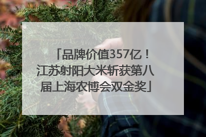 品牌价值357亿！江苏射阳大米斩获第八届上海农博会双金奖