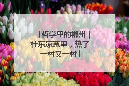 哲学里的郴州｜桂东凉意里，热了一村又一村