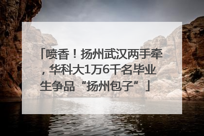 喷香！扬州武汉两手牵，华科大1万6千名毕业生争品“扬州包子”