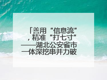善用“信息流”，精准“打七寸”——湖北公安省市一体深挖串并力破民生案
