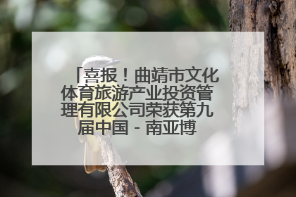 喜报！曲靖市文化体育旅游产业投资管理有限公司荣获第九届中国 - 南亚博览会优秀参展企业