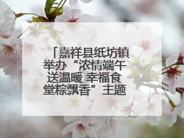 嘉祥县纸坊镇举办“浓情端午送温暖 幸福食堂粽飘香”主题文明实践活动
