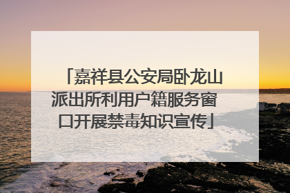 嘉祥县公安局卧龙山派出所利用户籍服务窗口开展禁毒知识宣传