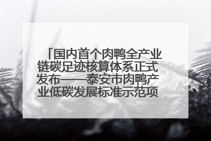 国内首个肉鸭全产业链碳足迹核算体系正式发布——泰安市肉鸭产业低碳发展标准示范项目顺利通过验收