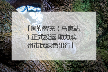 国勤智充（马家站）正式投运 助力滨州市民绿色出行