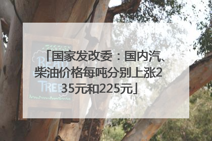 国家发改委：国内汽、柴油价格每吨分别上涨235元和225元