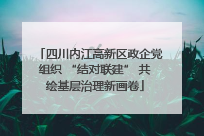 四川内江高新区政企党组织 “结对联建” 共绘基层治理新画卷
