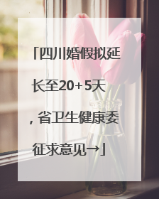 四川婚假拟延长至20+5天，省卫生健康委征求意见→