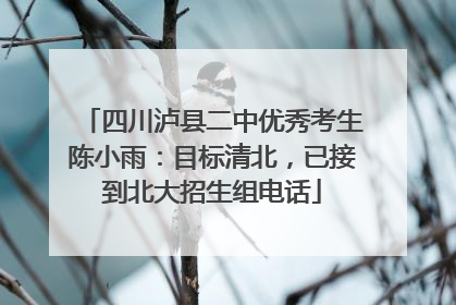 四川泸县二中优秀考生陈小雨：目标清北，已接到北大招生组电话