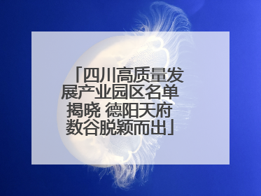 四川高质量发展产业园区名单揭晓 德阳天府数谷脱颖而出