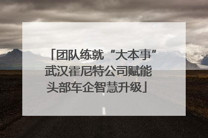 团队练就“大本事” 武汉霍尼特公司赋能头部车企智慧升级