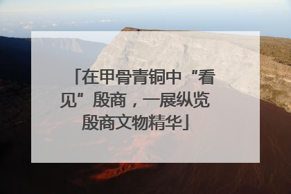 在甲骨青铜中“看见”殷商，一展纵览殷商文物精华