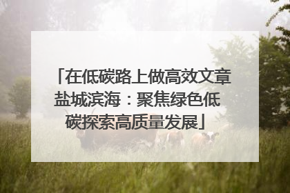 在低碳路上做高效文章 盐城滨海：聚焦绿色低碳探索高质量发展
