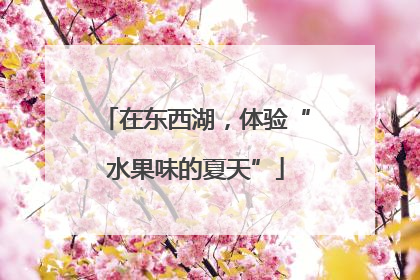 在东西湖，体验“水果味的夏天”
