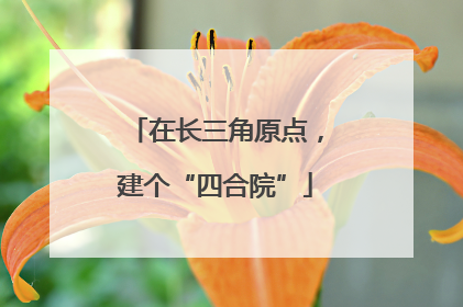 在长三角原点，建个“四合院”