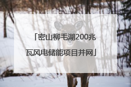 密山柳毛湖200兆瓦风电储能项目并网