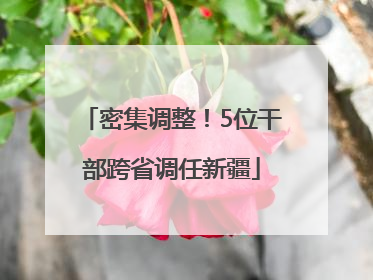 密集调整！5位干部跨省调任新疆