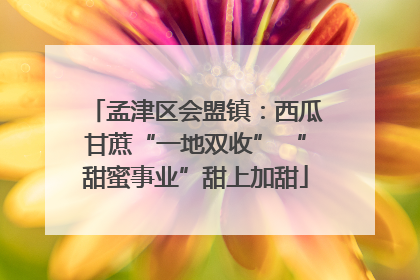 孟津区会盟镇：西瓜甘蔗“一地双收” “甜蜜事业”甜上加甜