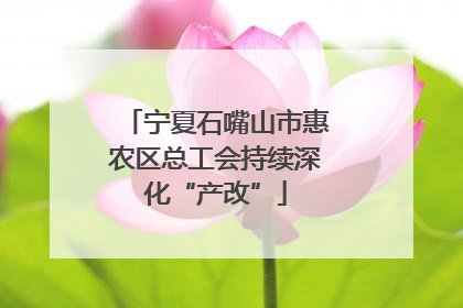 宁夏石嘴山市惠农区总工会持续深化“产改”