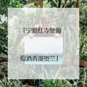 宁夏红寺堡葡萄酒香漫贺兰