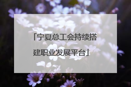 宁夏总工会持续搭建职业发展平台