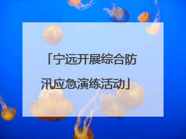 宁远开展综合防汛应急演练活动