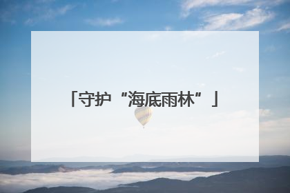 守护“海底雨林”