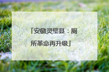 安徽灵璧县：厕所革命再升级