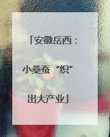 安徽岳西：小桑蚕“织”出大产业