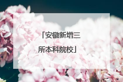 安徽新增三所本科院校