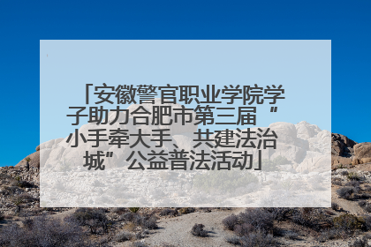 安徽警官职业学院学子助力合肥市第三届“小手牵大手、共建法治城”公益普法活动
