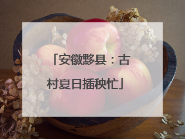 安徽黟县：古村夏日插秧忙