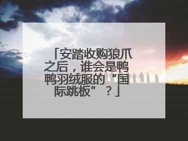 安踏收购狼爪之后，谁会是鸭鸭羽绒服的“国际跳板”？