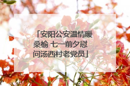 安阳公安温情暖桑榆 七一前夕慰问汤西村老党员