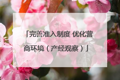 完善准入制度 优化营商环境（产经观察）