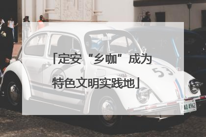 定安“乡咖”成为特色文明实践地