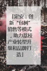 定安：创新“包树”销售等模式，助力荔枝产业转型升级和品牌打造