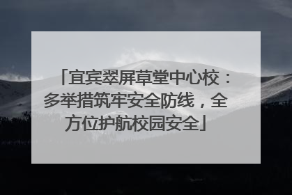 宜宾翠屏草堂中心校：多举措筑牢安全防线，全方位护航校园安全