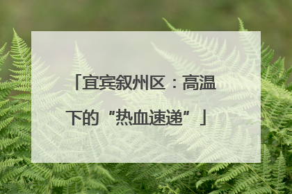 宜宾叙州区：高温下的“热血速递”