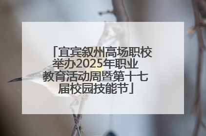 宜宾叙州高场职校举办2025年职业教育活动周暨第十七届校园技能节