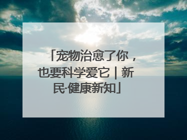 宠物治愈了你，也要科学爱它｜新民·健康新知