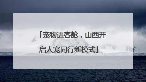 宠物进客舱，山西开启人宠同行新模式