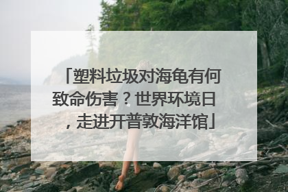 塑料垃圾对海龟有何致命伤害？世界环境日，走进开普敦海洋馆
