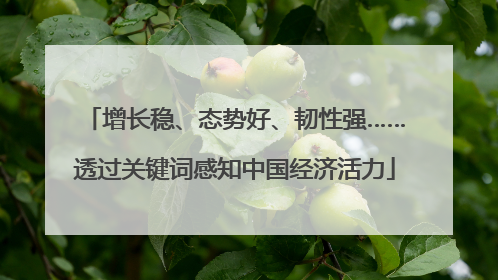 增长稳、态势好、韧性强……透过关键词感知中国经济活力