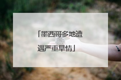 墨西哥多地遭遇严重旱情