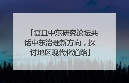 复旦中东研究论坛共话中东治理新方向，探讨地区现代化道路
